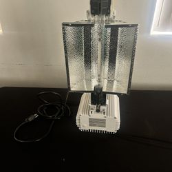 Hydro Grow Light