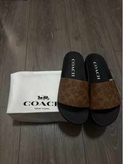Coach slides signature color