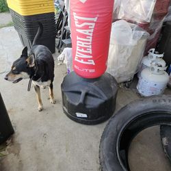 Punching Bag