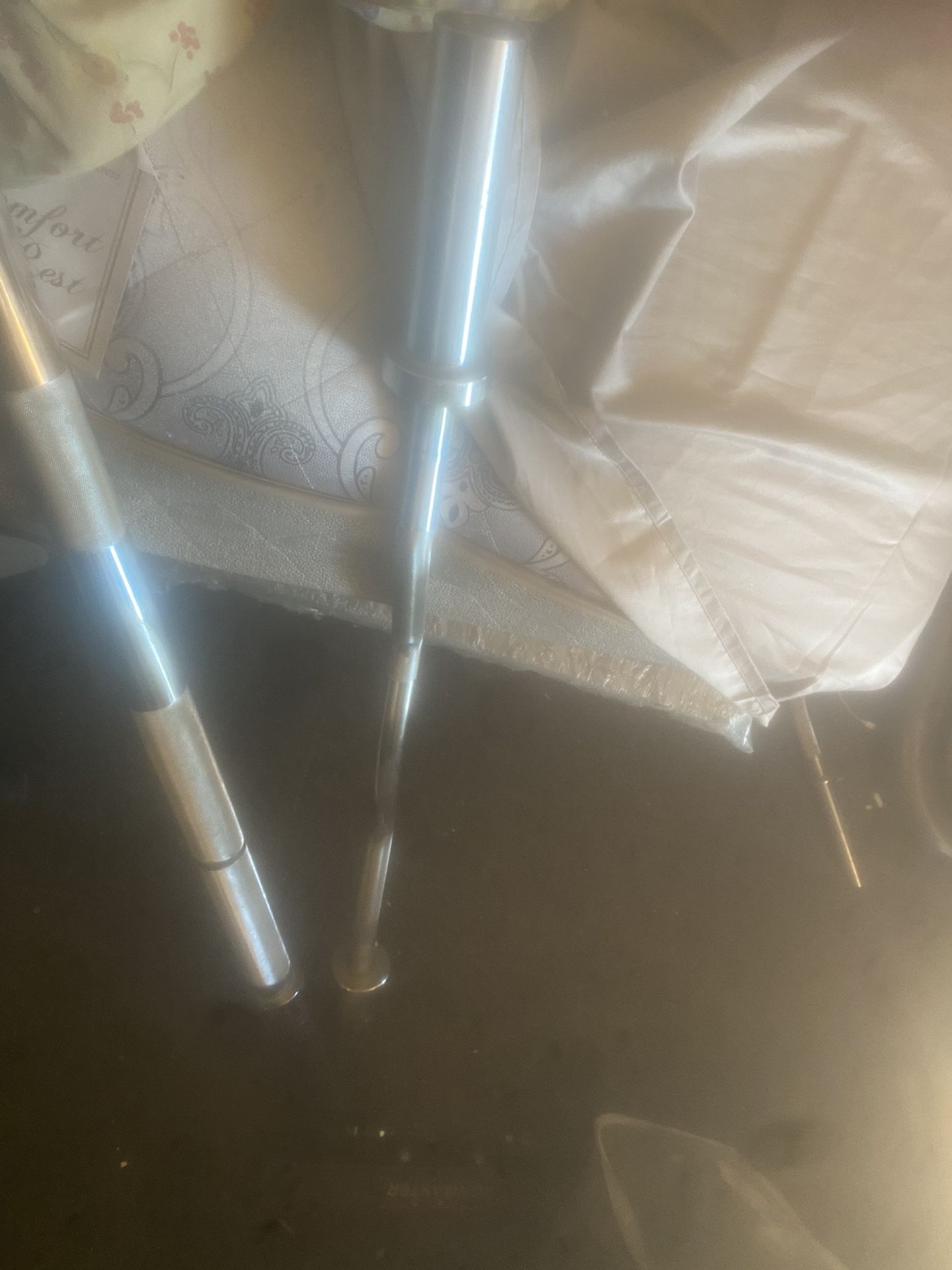 Olympic Curl Bar