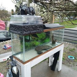 55 Gallon Fish Tank But We Use It For Our Red Slider Turtle.