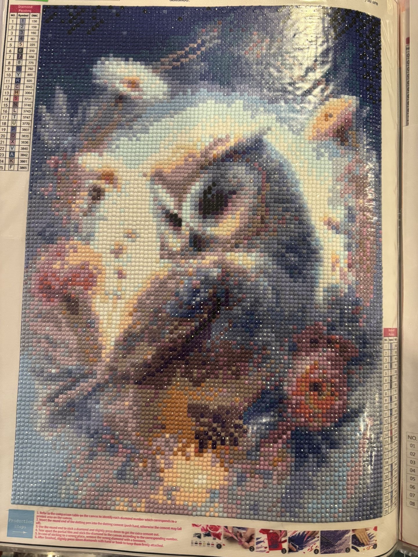 Pretty Owl 