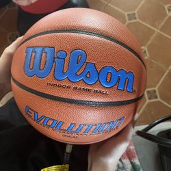 Wilson Basketball 