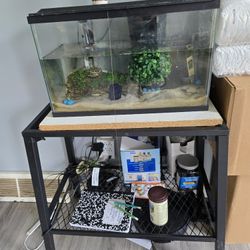 Fish Aquarium 