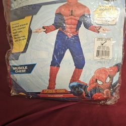 Spider Man Costume 