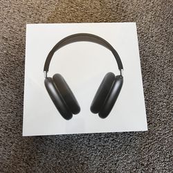Apple Max Headphones Space Gray