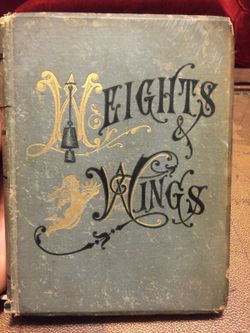1878 weights & wings