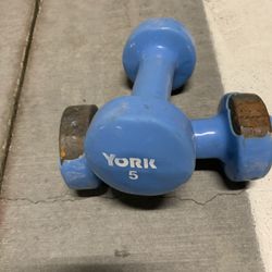 5 Bound’s Dumbbell Available 95134