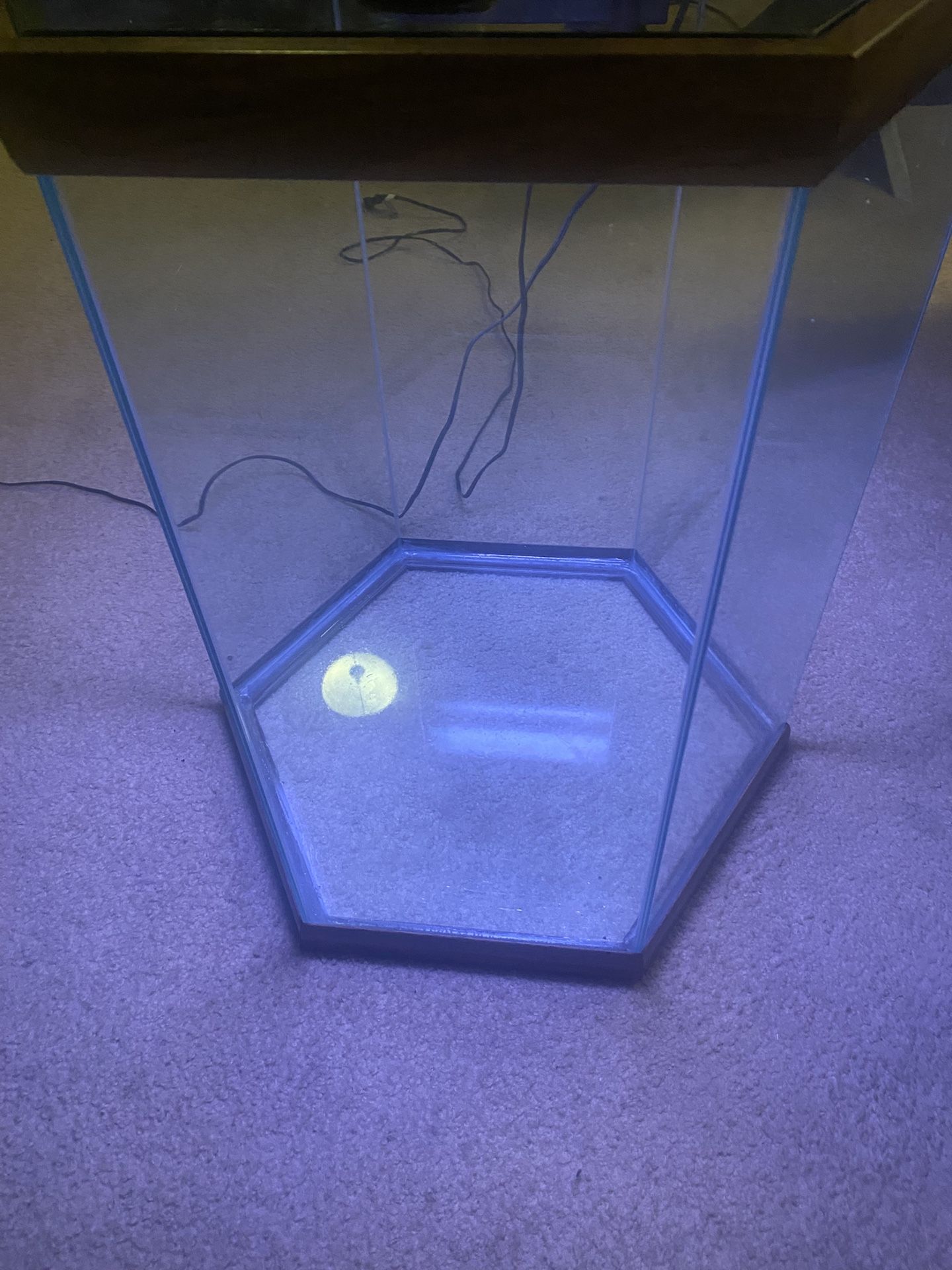Fish Tank