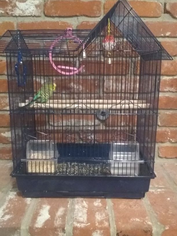 Bird / Bird Cage