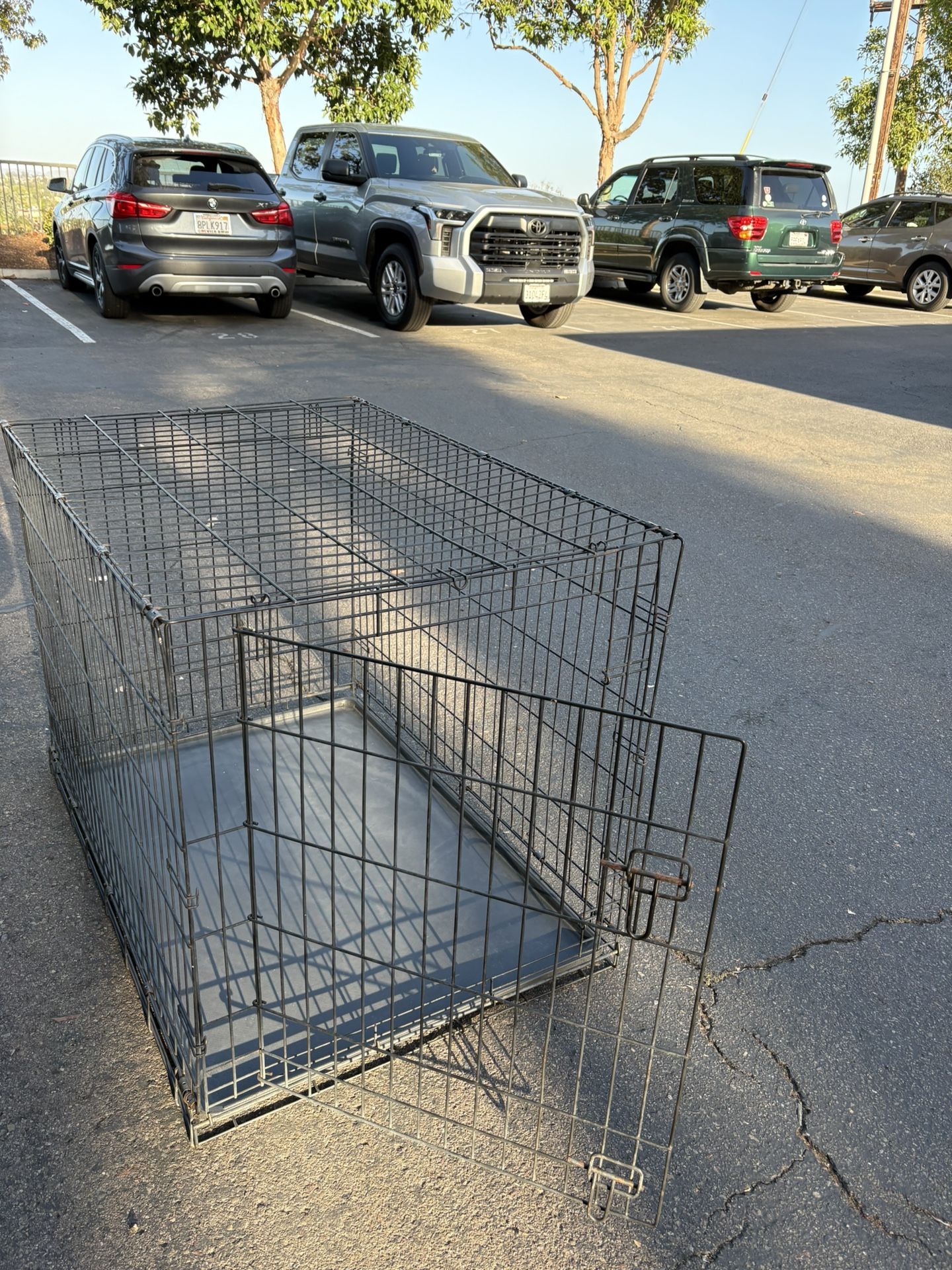 Large Dog Crate In Bay Park 
