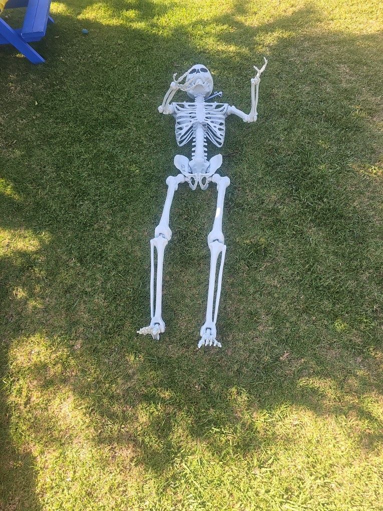 7' Tall Skeleton 