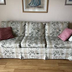 Sleeper Sofa And loveseat 