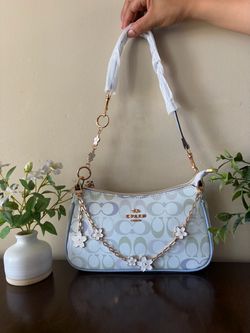Purse with chain