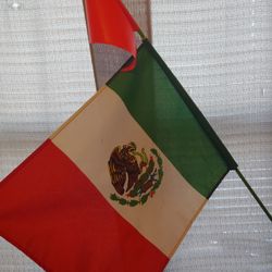 Mexican Flag Whip 