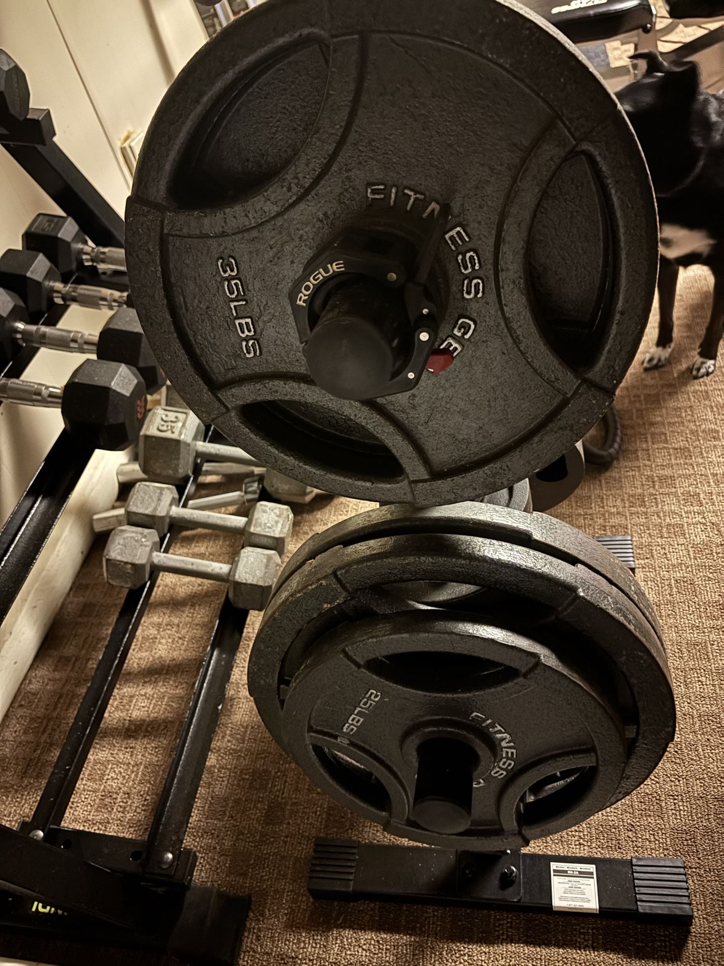 Weights Weight Bench