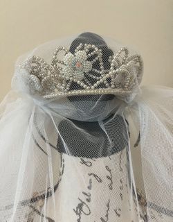 Vintage Beaded Wedding Veil