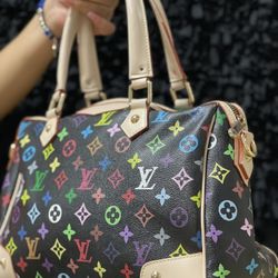 Louis VUITTON Bags