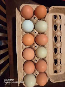 Fresh yard eggs