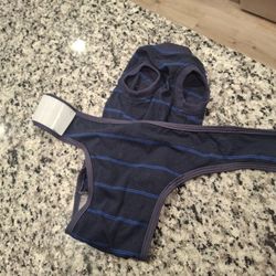 Dog Surgical Suit