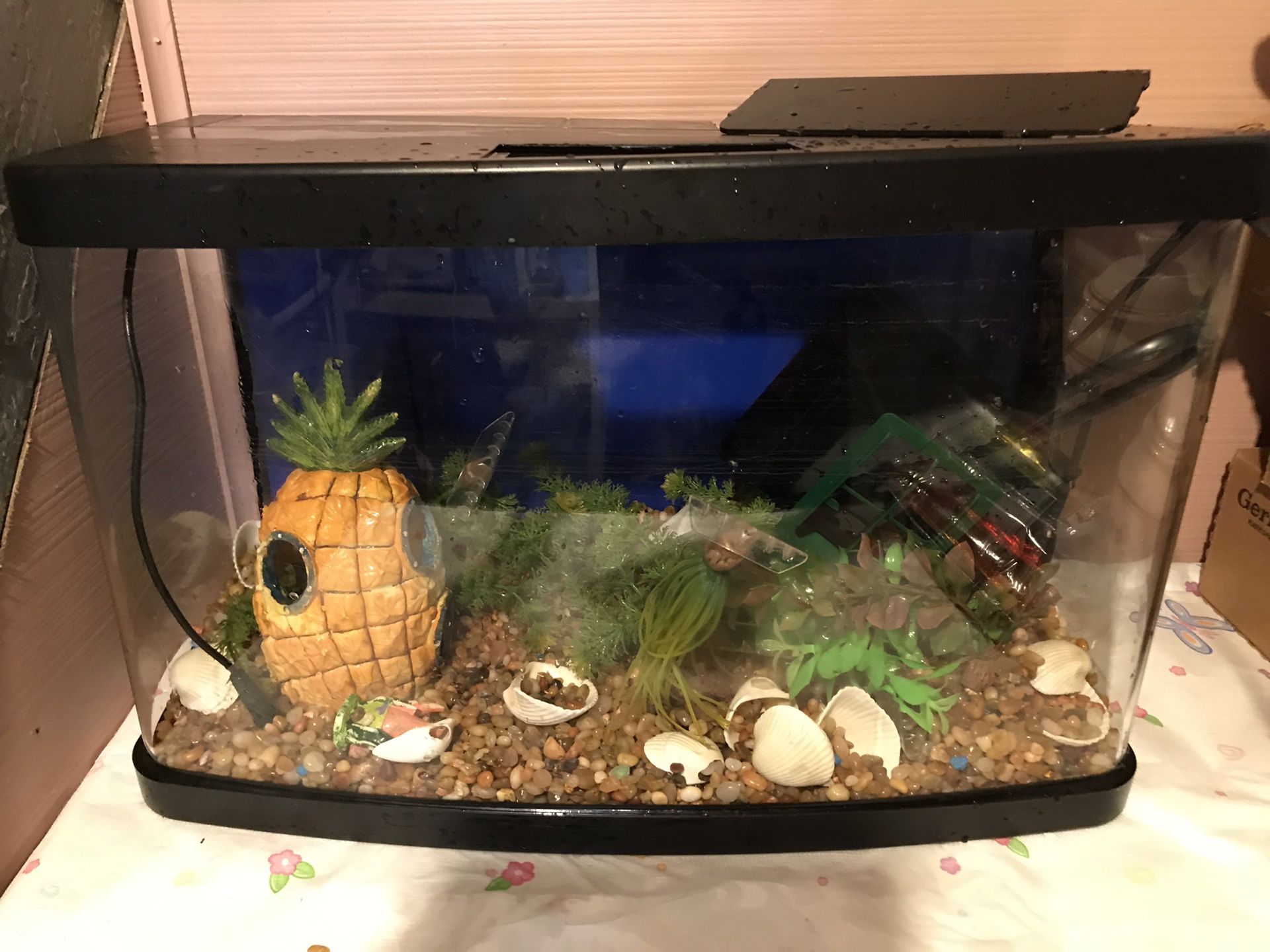 Fish tank