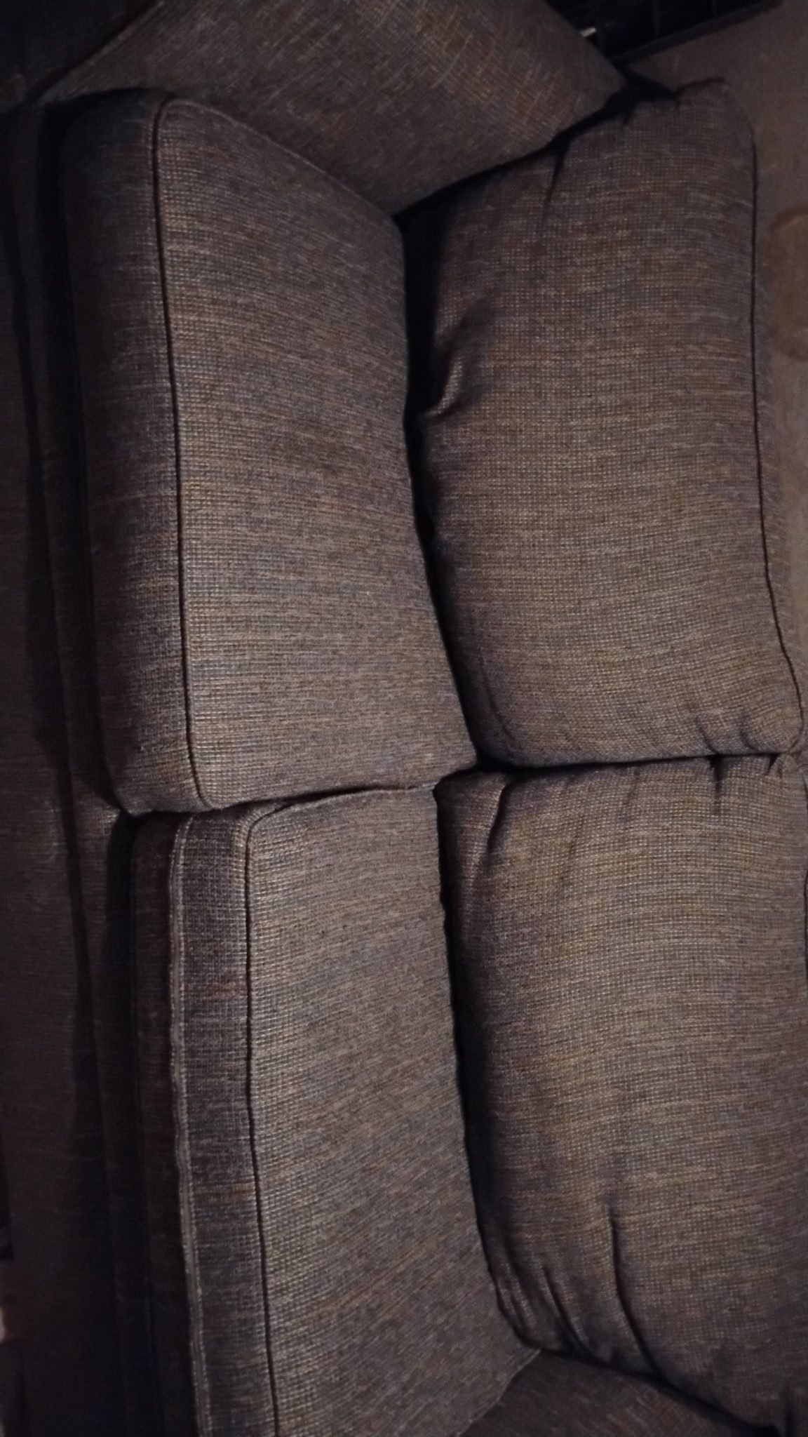 Sleeper Sofa