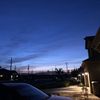 Bambii
