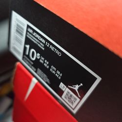 Jordan Flu Games 12s