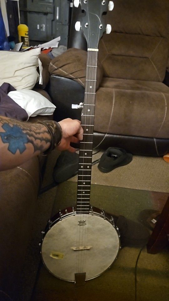 Rogue Banjo