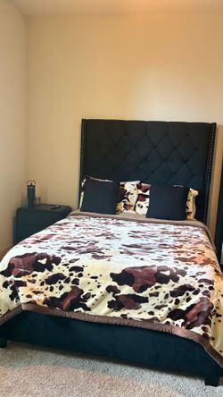 Queen Bed Frame + Mattress