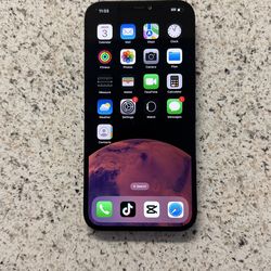 iPhone w/TikTok