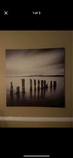 Large canvas wall art/decor. 30 inches by 30 inches.