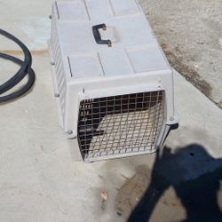 2 Ft By 2 Ft Probably 30 In Wide Small Dog Carrier Or Cat