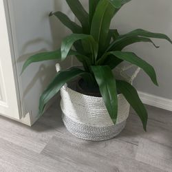 Artificial Plant With Basket 