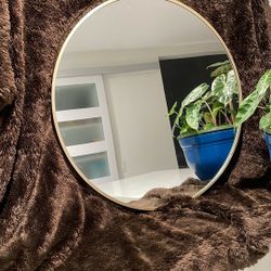 Contemporary Gold Metal Frame Mirror 