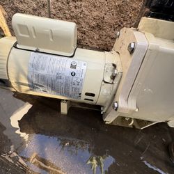 Pool Pump