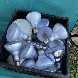 BASKET OF VARIETY BULBS