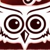 Owls Wear Leggings & Shoes