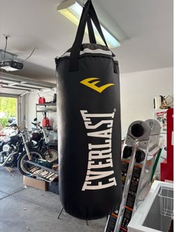 40 lb Punching bag only 30