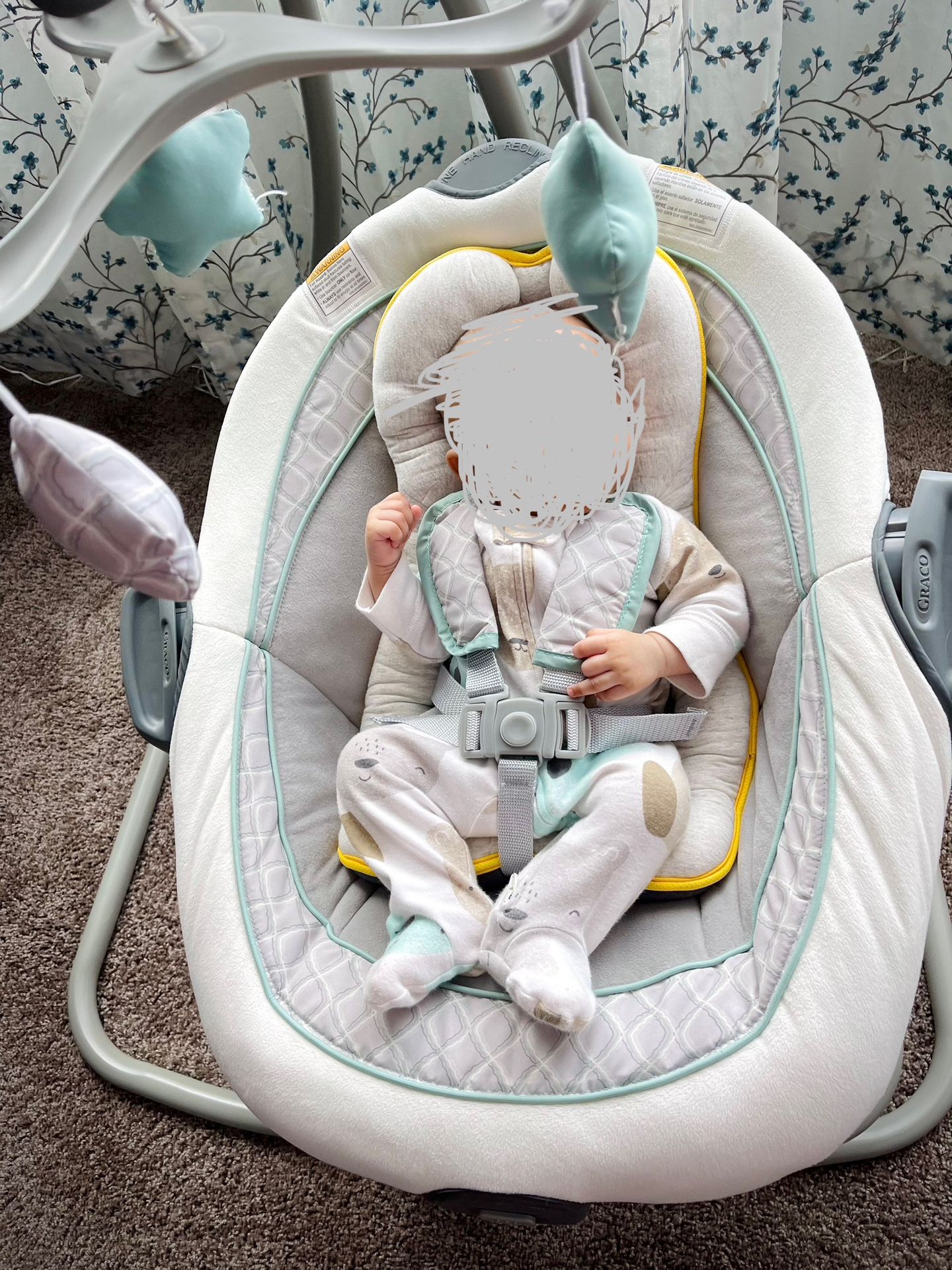 Baby Swing and Bouncer