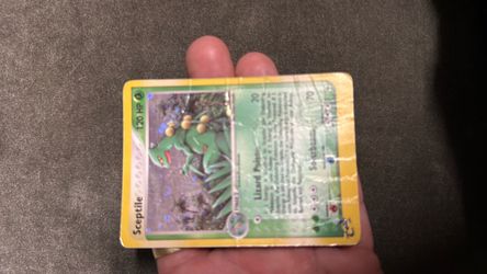 Sceptile Pokémon Trading Card 120 HP