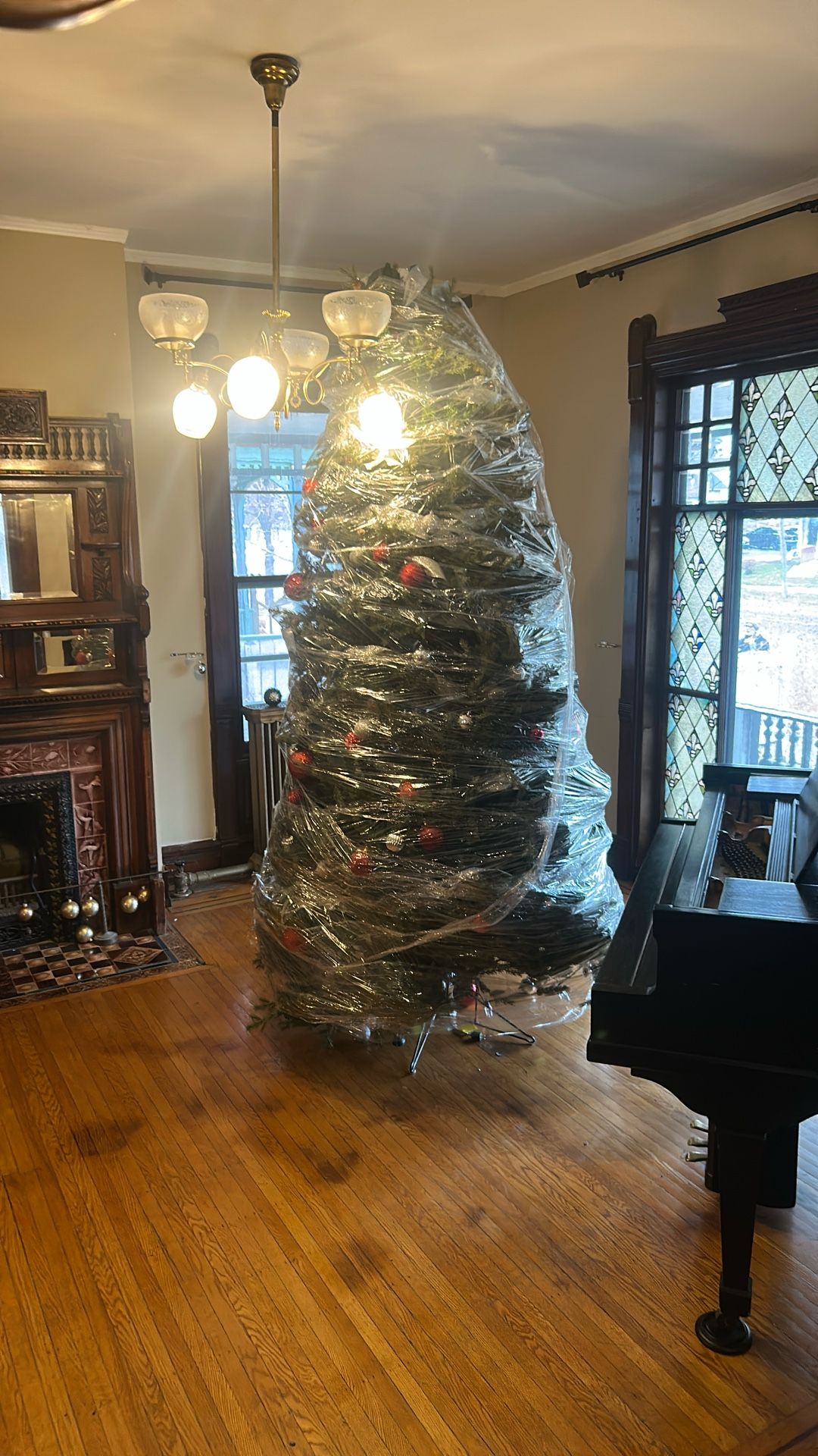 christmas tree