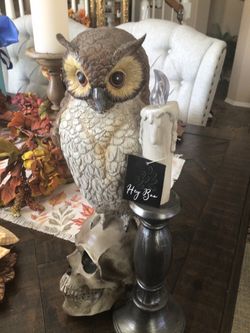 Halloween Owl on Skull Figurine