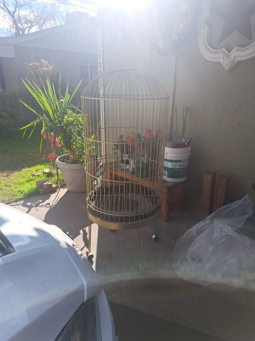 Bird Cage