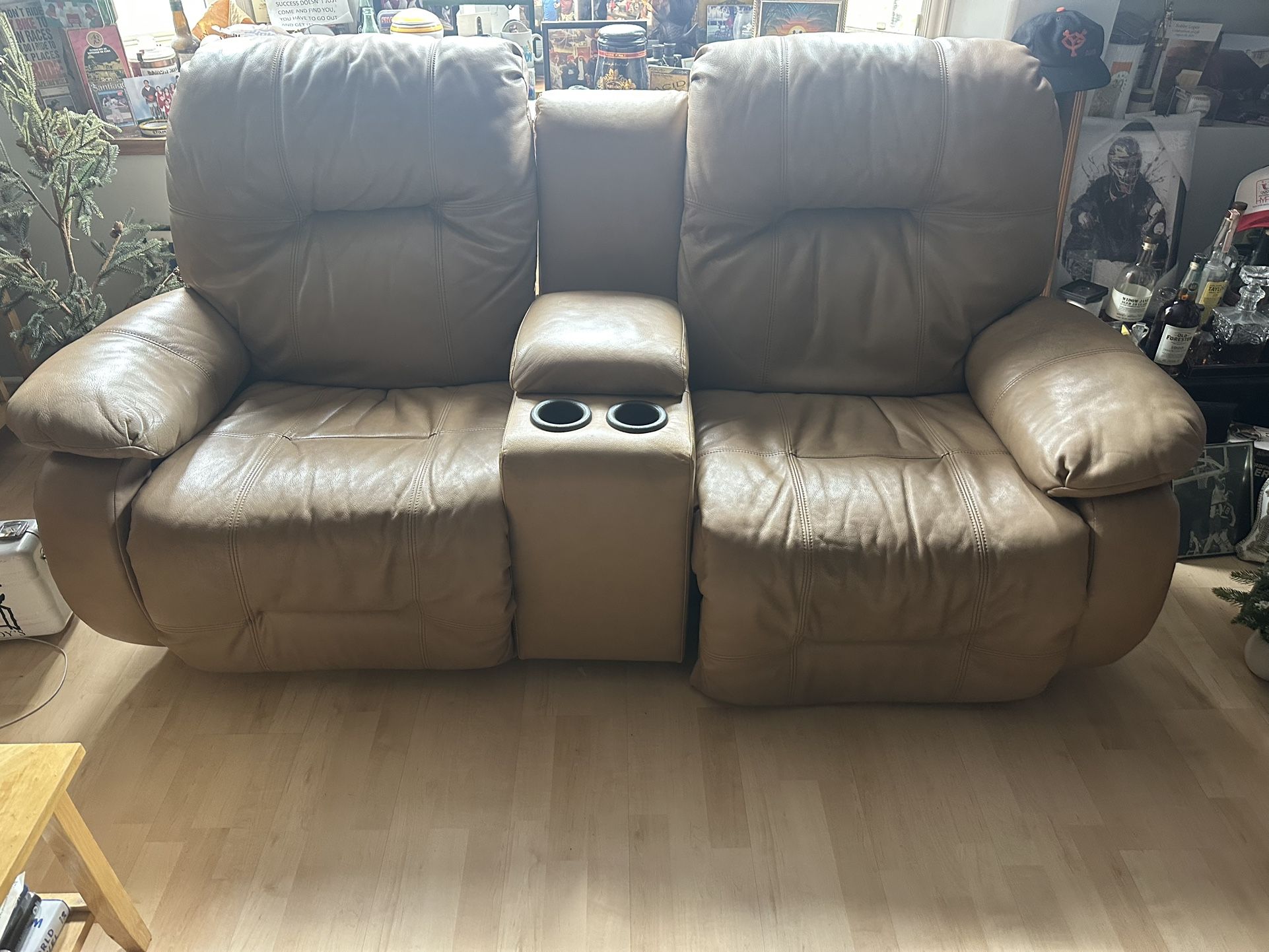 Reclining Electric Lounger