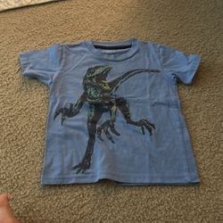 Boys Shirt Size 5t