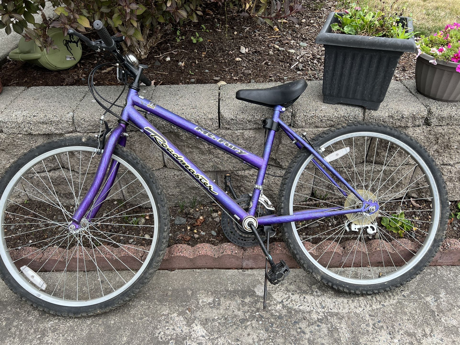 Ladies 15 Speed Bike
