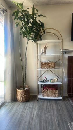 Gold Arch Bookshelf with White Shelves