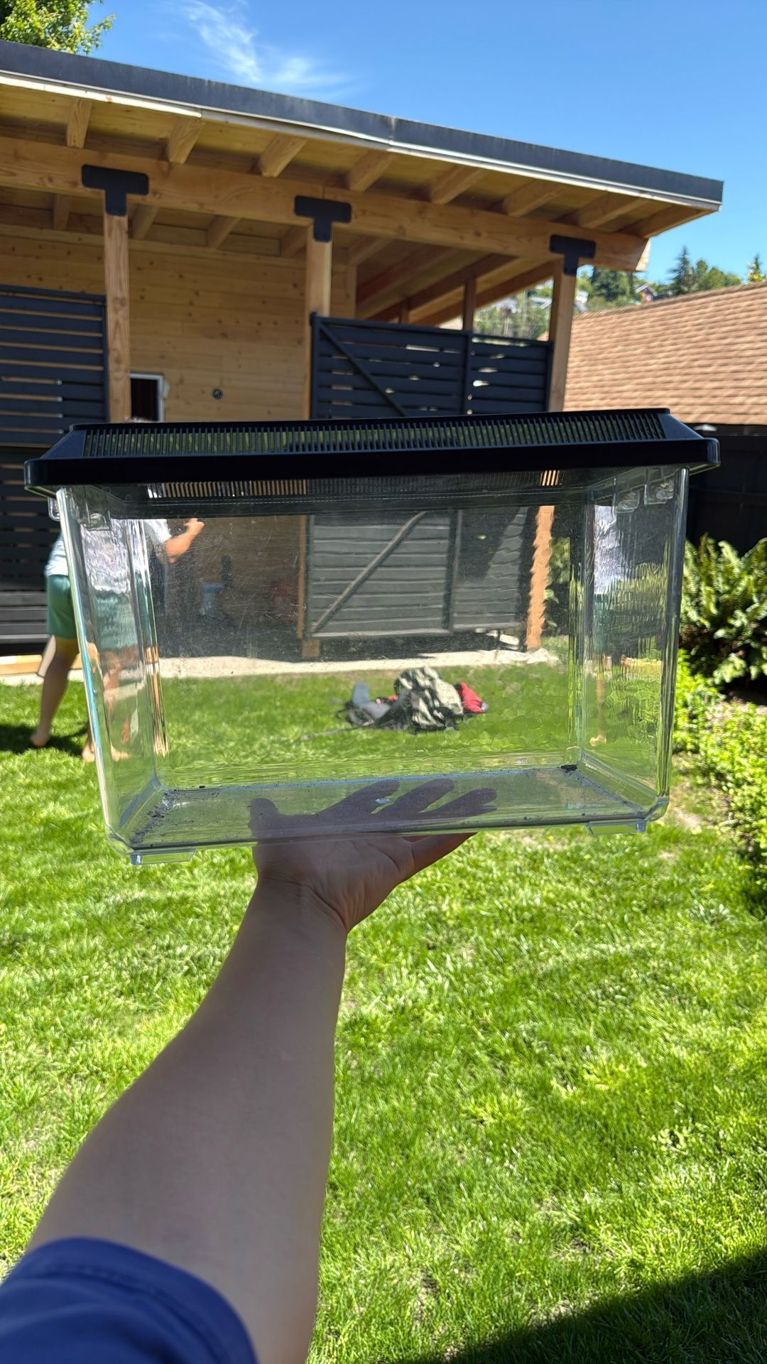 2 Medium Sized Terrarium For Little Critters