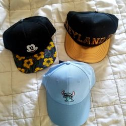 Disney Hats